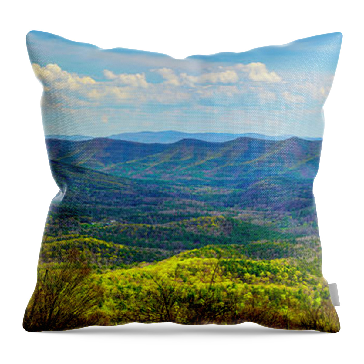 Big Walker Mountain Throw Pillow featuring the photograph Big Walker Mountain Vista by Dale R Carlson