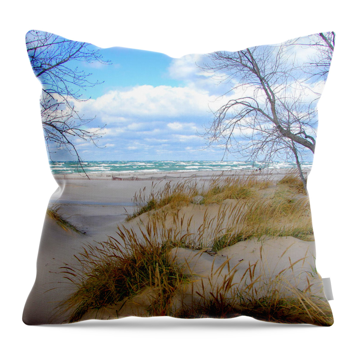 Trees Throw Pillow featuring the photograph Big Waves on Lake Michigan by Michelle Calkins