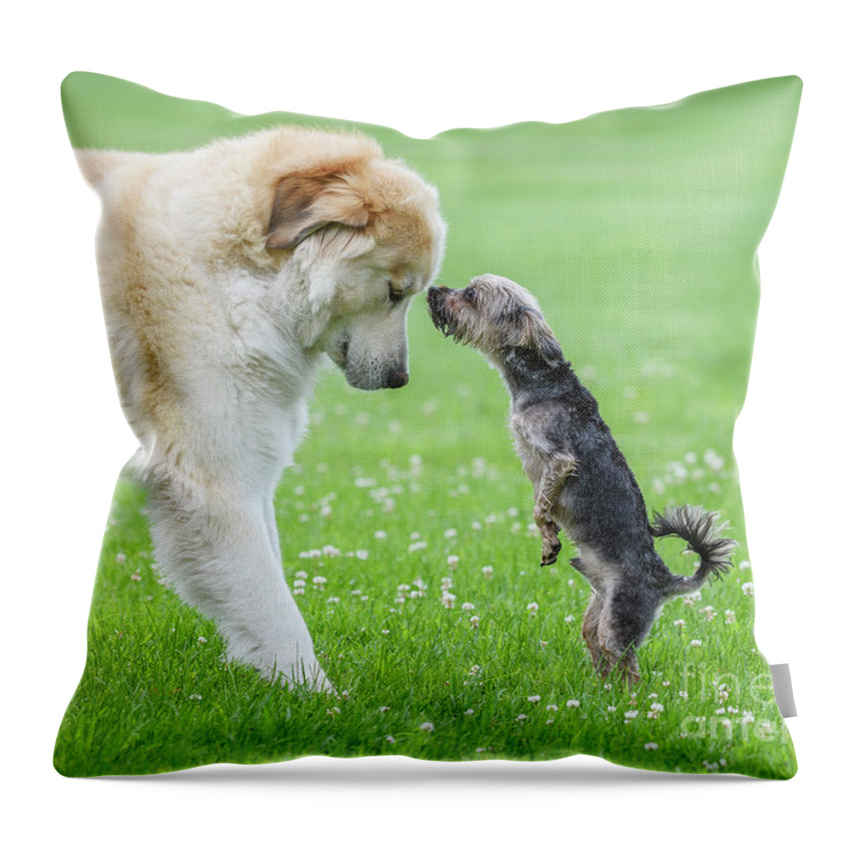 Canine Throw Pillow featuring the photograph Bigness by Nina Stavlund