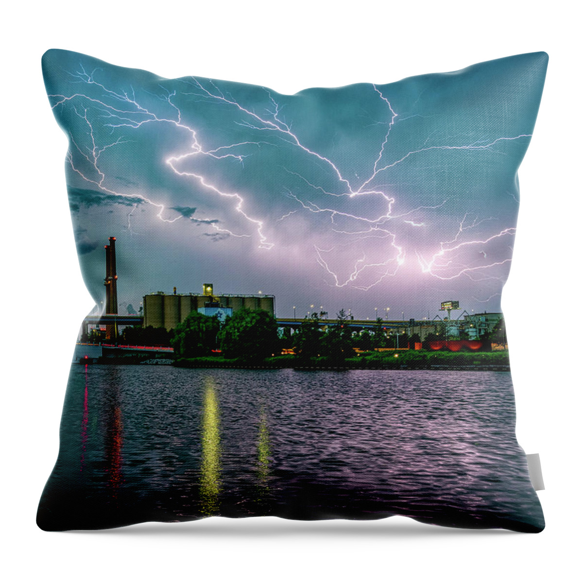  Throw Pillow featuring the photograph Bingo by Kristine Hinrichs