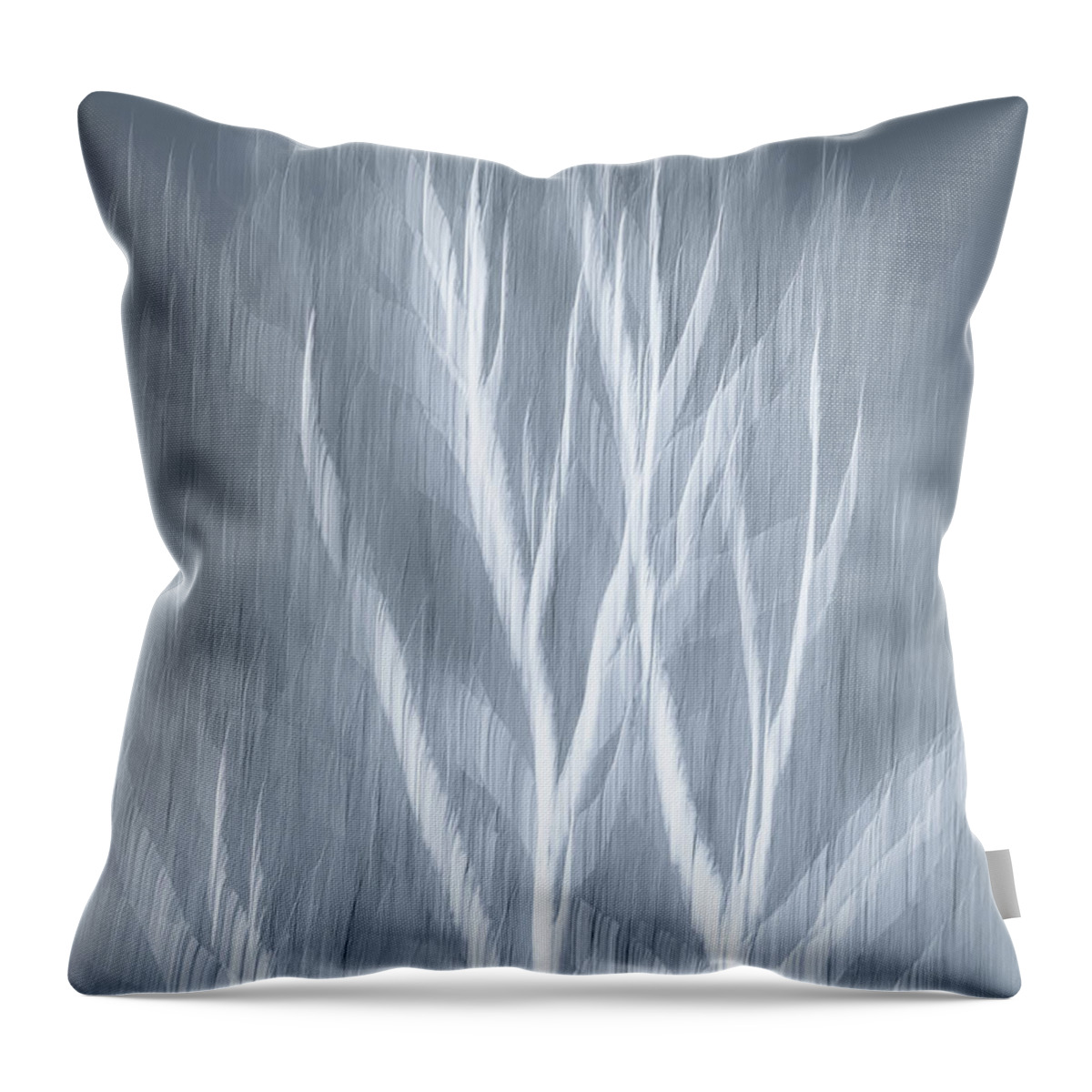 Birch Throw Pillow featuring the photograph Birch abstract by Brad Bellisle
