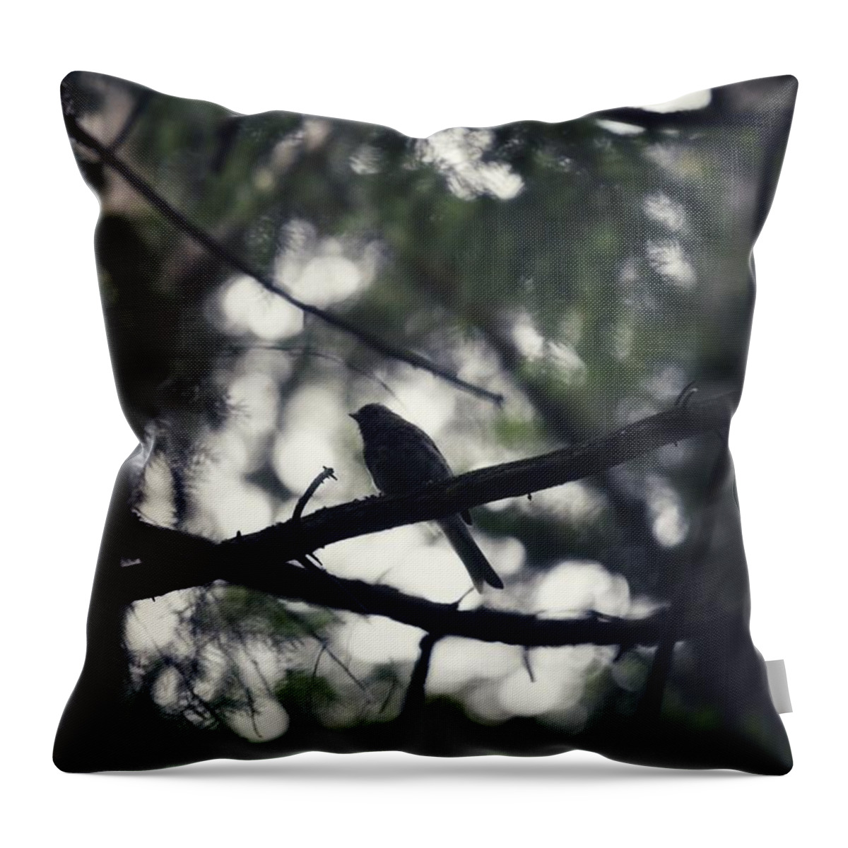Bird Throw Pillow featuring the photograph Bird at Dusk by Evan Foster