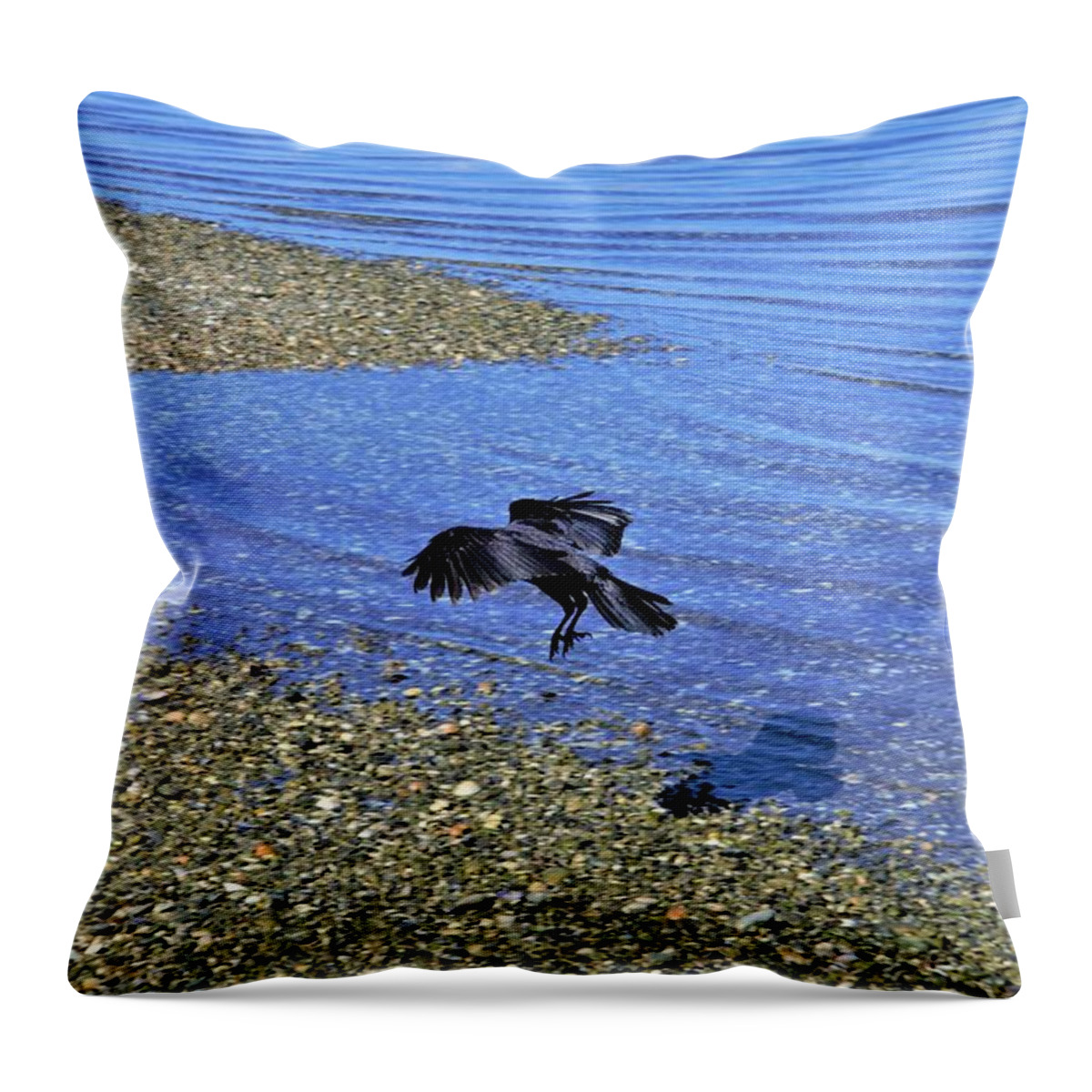 Bird Throw Pillow featuring the photograph Bird Coming to Dry Land by James Cousineau