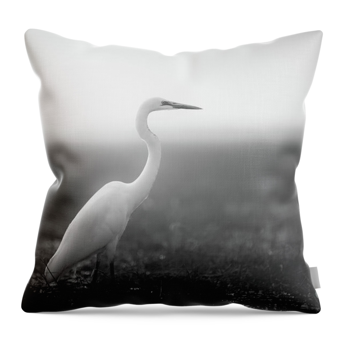 Birds Throw Pillow featuring the photograph Bird in Dream by Dheeraj Mutha