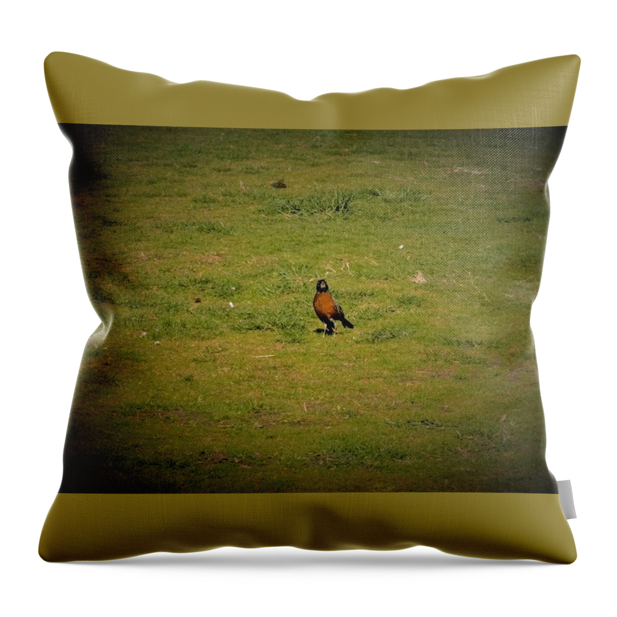 Cardinal Throw Pillow featuring the photograph Bird in the park by James Cousineau