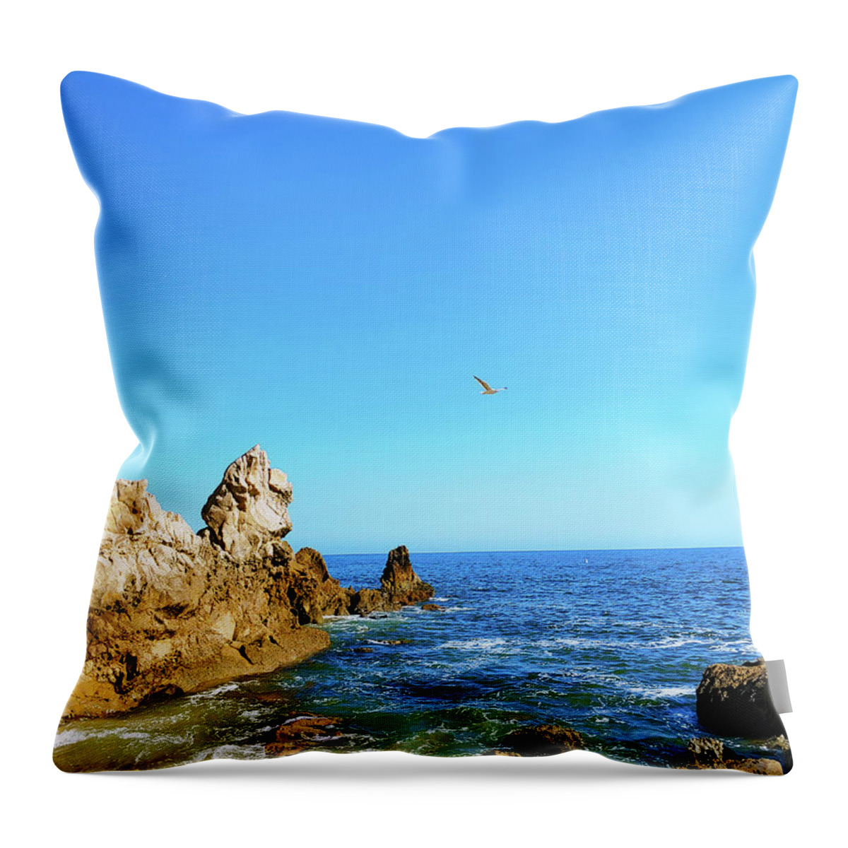 Ocean Throw Pillow featuring the photograph Bird in the Sky at the Beach by Marcus Jones