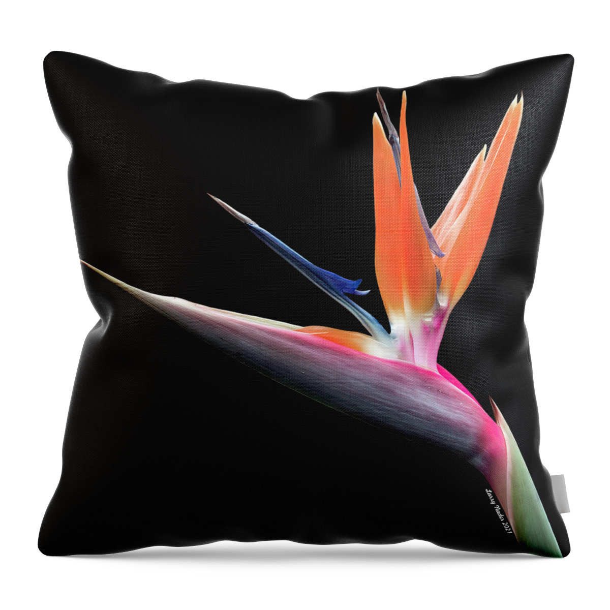Photography Throw Pillow featuring the photograph Bird of Paradise by Larry Nader
