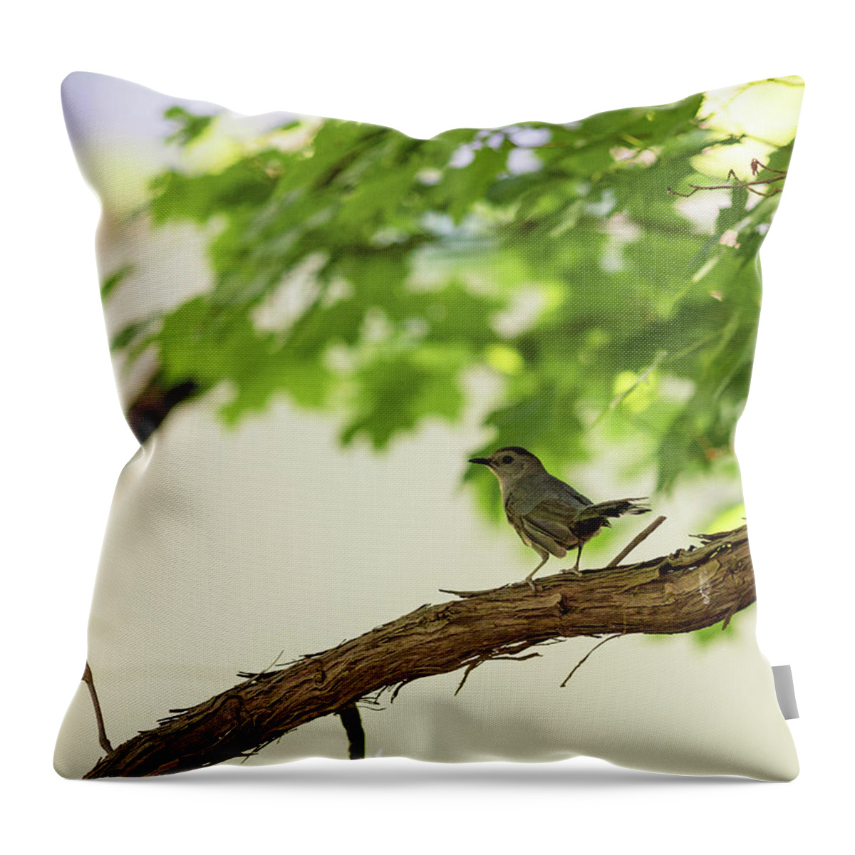 Bird Throw Pillow featuring the photograph Bird on a Branch by Amelia Pearn