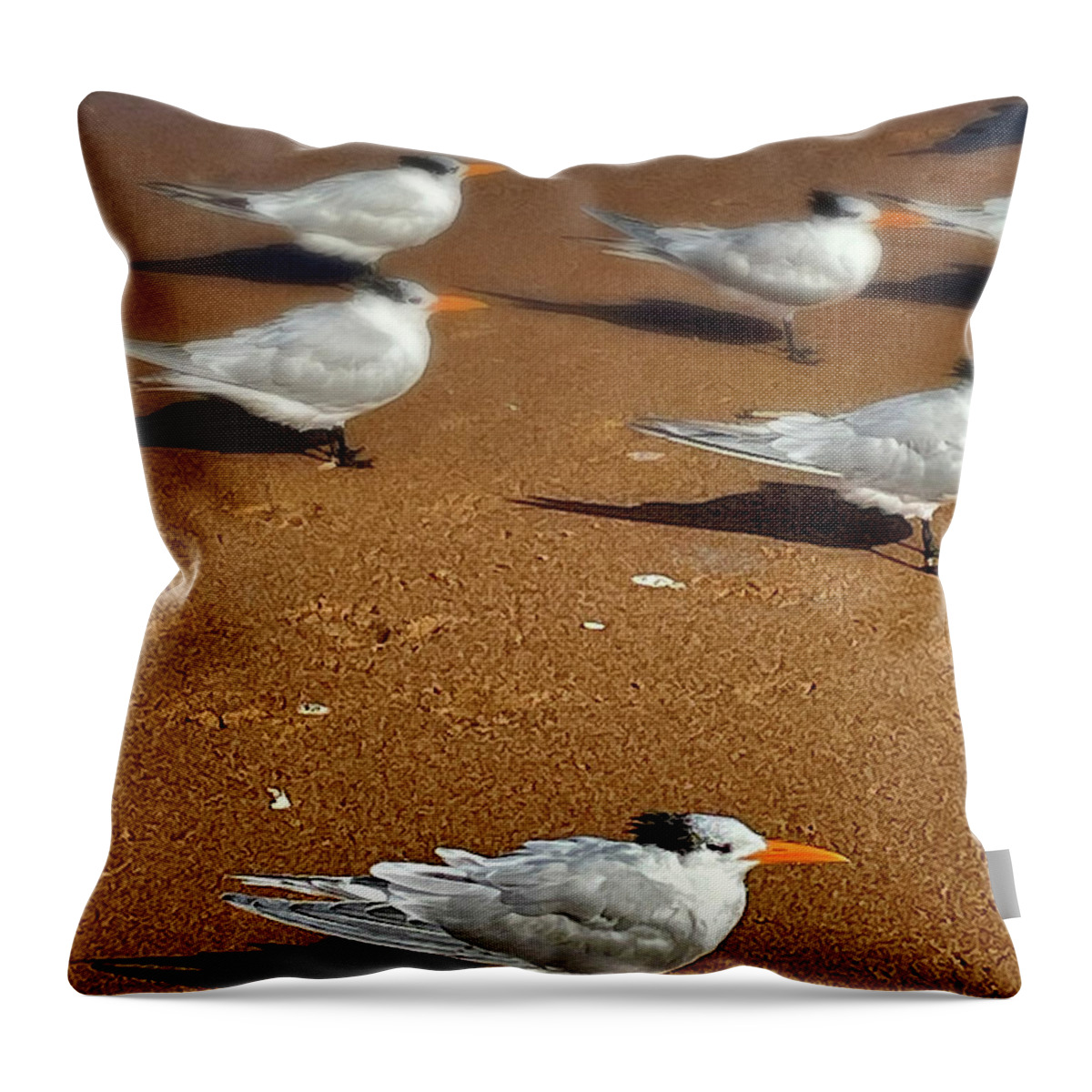 Flagler Beach Throw Pillow featuring the photograph Birids of a Feather by George Taylor