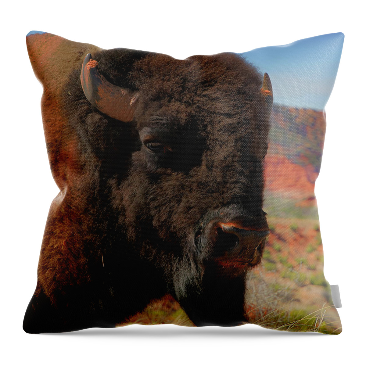 Bison Throw Pillow featuring the photograph Bison Portrait by Pam Rendall