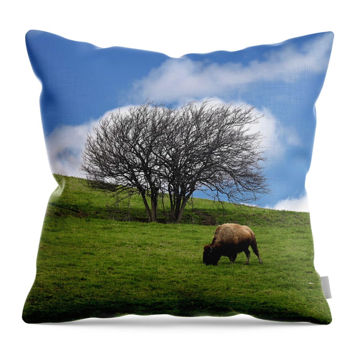 Bison Throw Pillow featuring the photograph Bison Tree by Steven Nelson