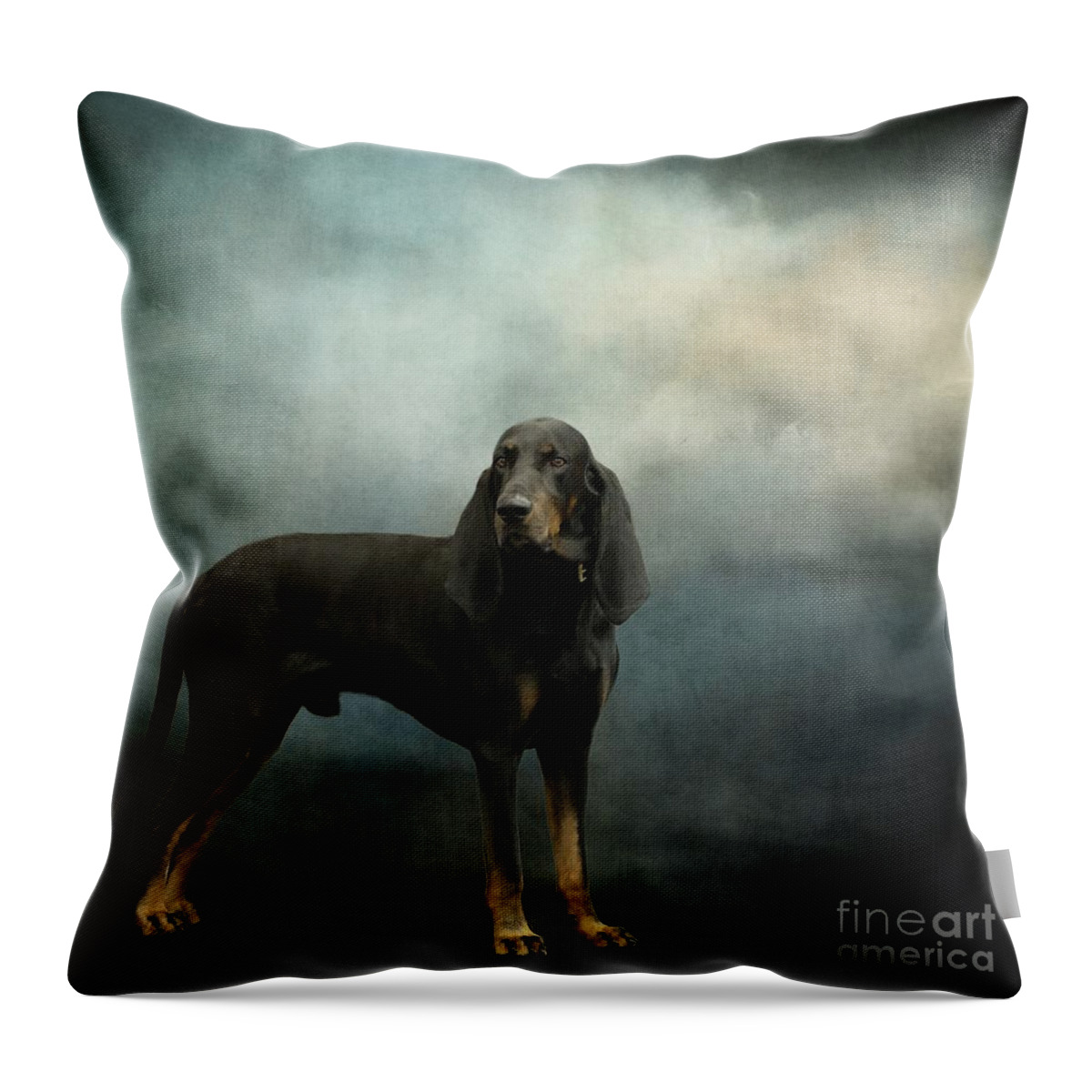 Black And Tan Coonhound Throw Pillow featuring the photograph Black and Tan Coonhound by Eva Lechner