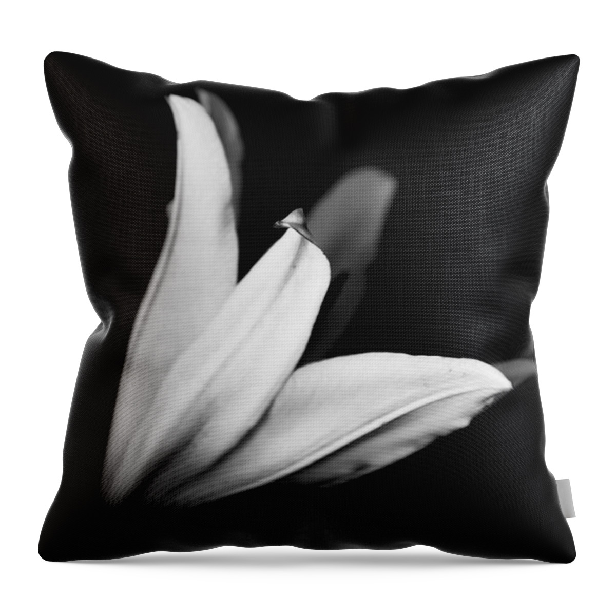 Lily Throw Pillow featuring the photograph Black and White Lily by Carrie Hannigan