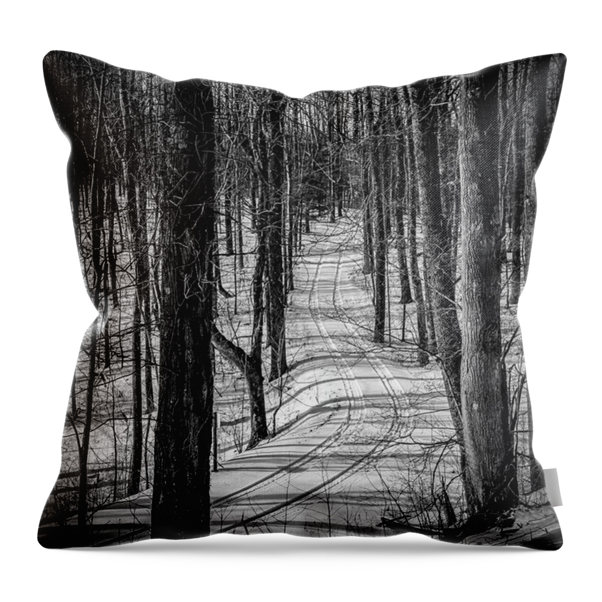 Blue Ridge Mountains Throw Pillow featuring the photograph Black and White Tracks in the Woods by Deb Beausoleil