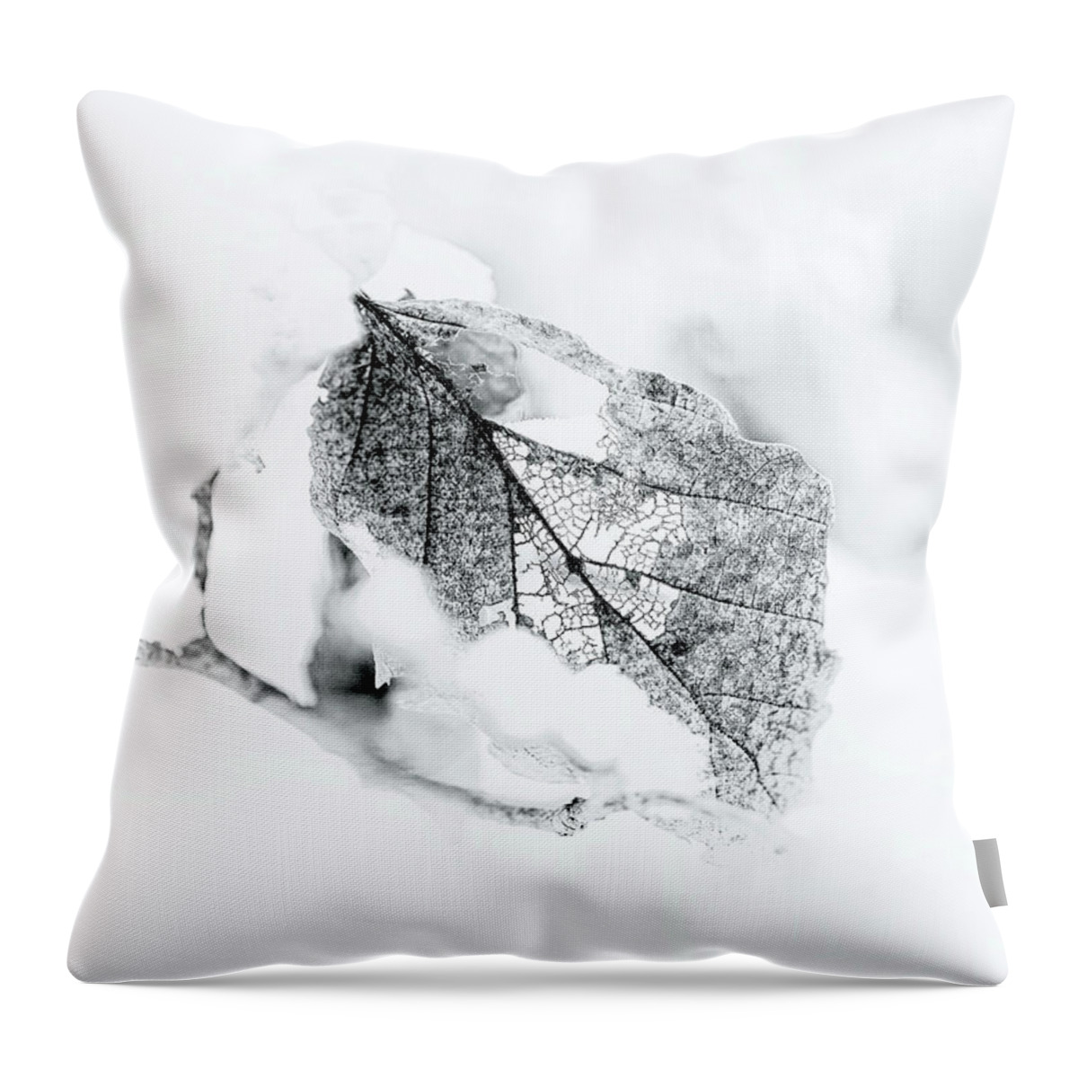 Black And White Throw Pillow featuring the photograph Black and White Winter Leaf Filigree by Carol Senske