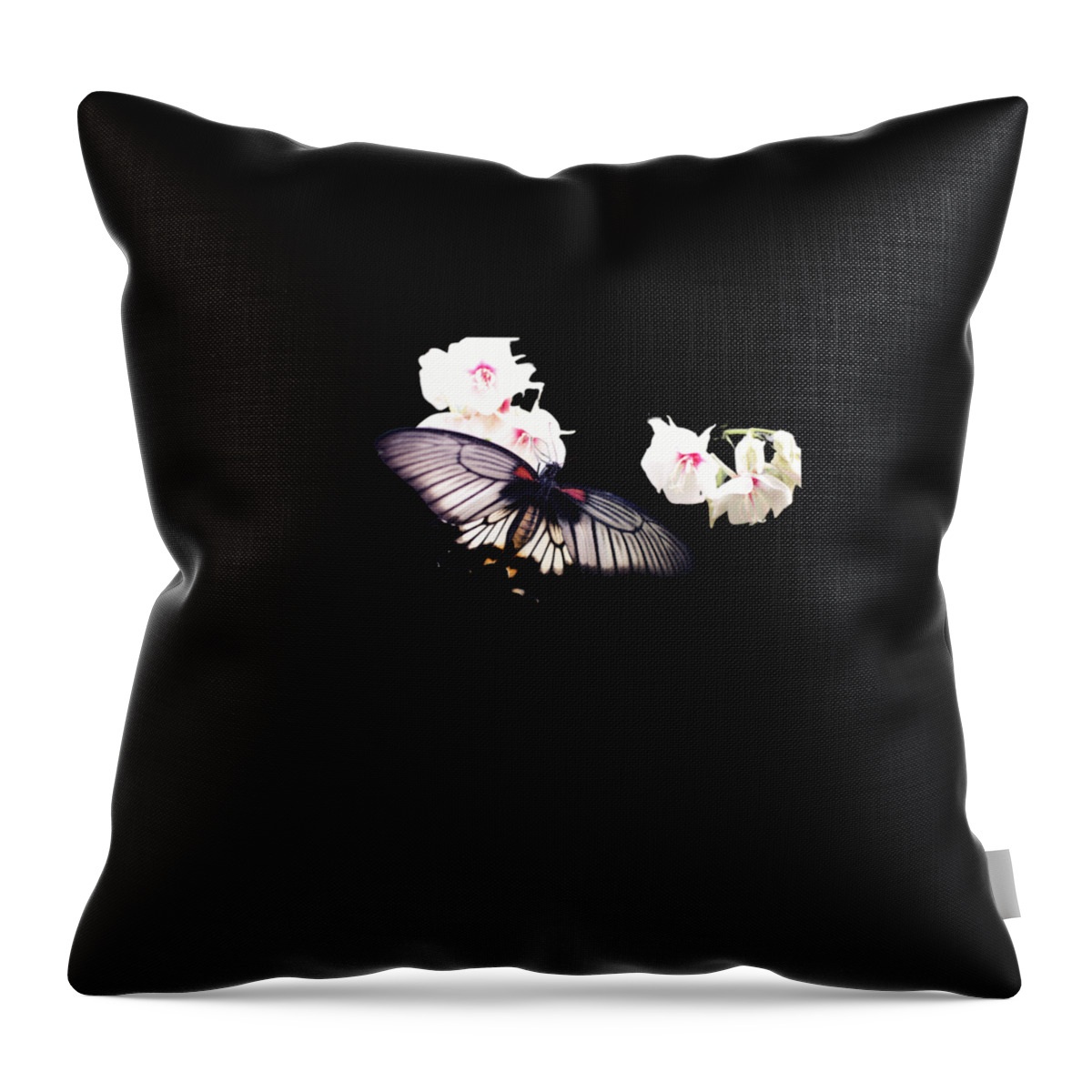 Black Butterfly Throw Pillow featuring the digital art Black Butterfly Gifts by Caterina Christakos