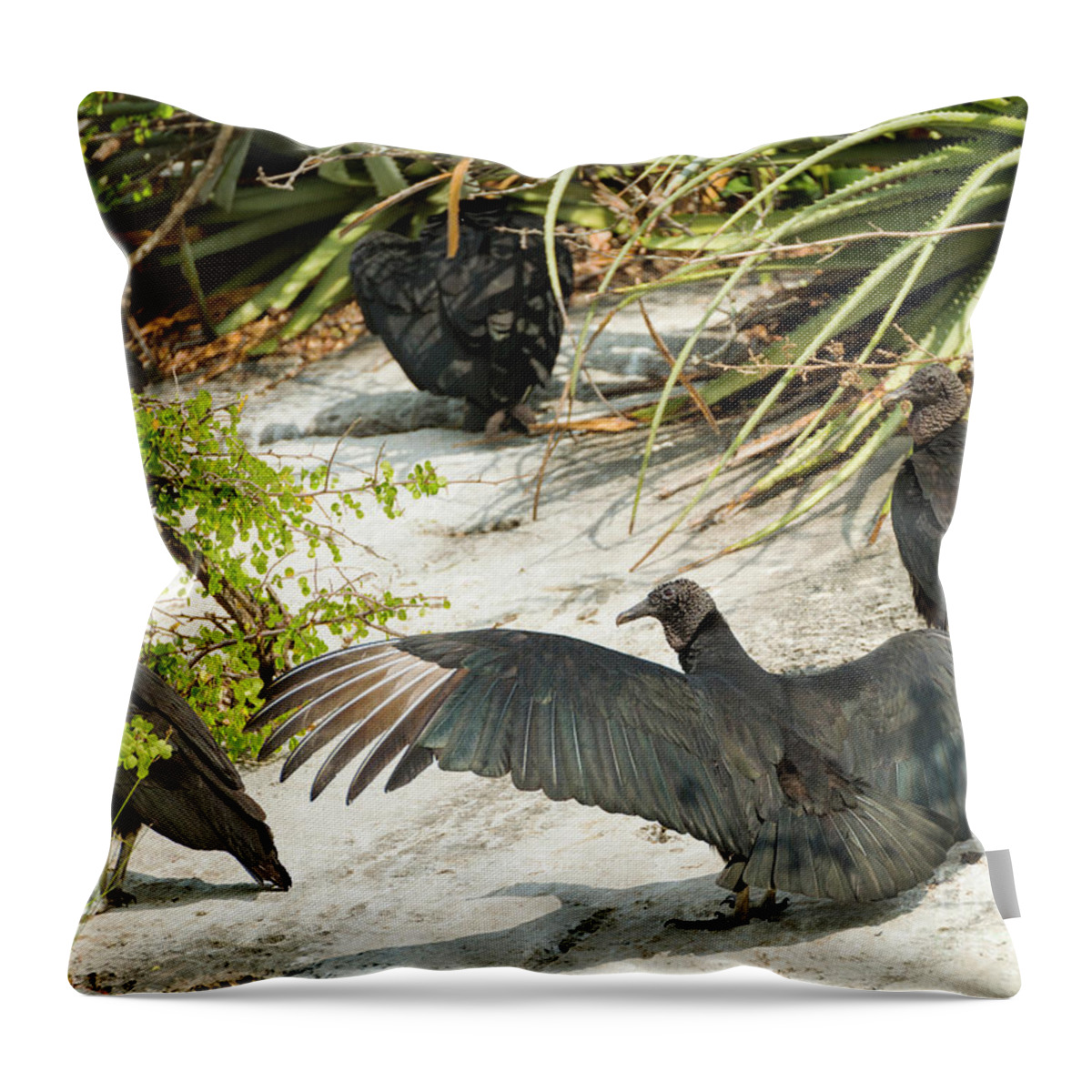 Vulture Throw Pillow featuring the photograph Black Buzzard By Grijalva River In Mexico by THP Creative