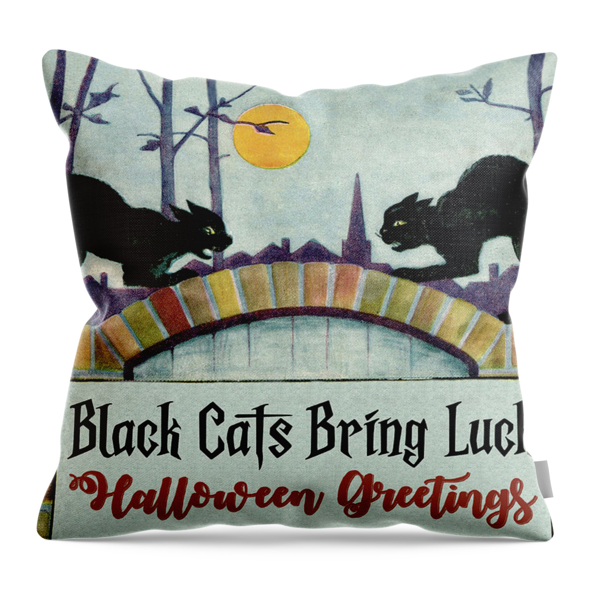 Black Cat Throw Pillow featuring the digital art Black Cats Bring Luck by Long Shot