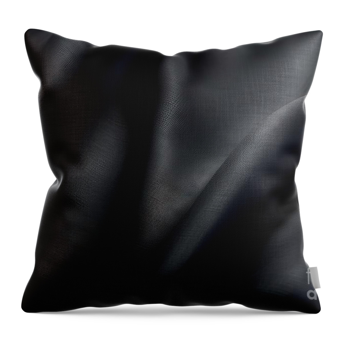 Isolated Throw Pillow featuring the painting Black Flag Cloth In Full Frame With Selective Focus 3d Illustration Of Pitch Dark Colored Garment With Clean Natural Linen Texture For Background Banner Or Wallpaper Use by N Akkash