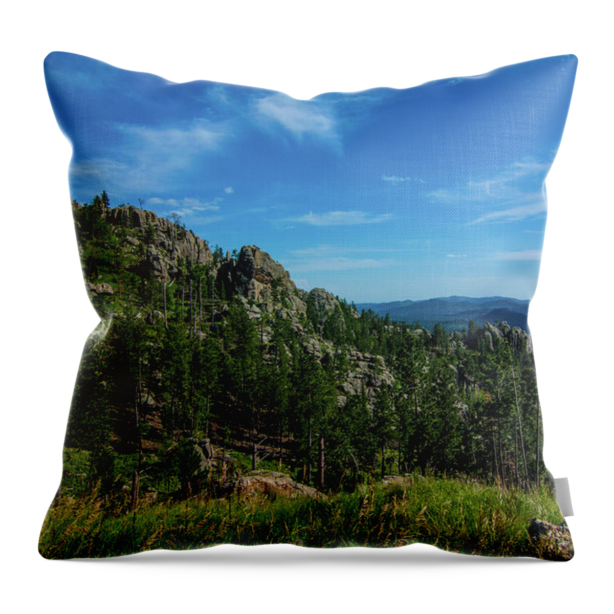 Black Hills Throw Pillow featuring the photograph Black Hills IMG 0756 by Jana Rosenkranz