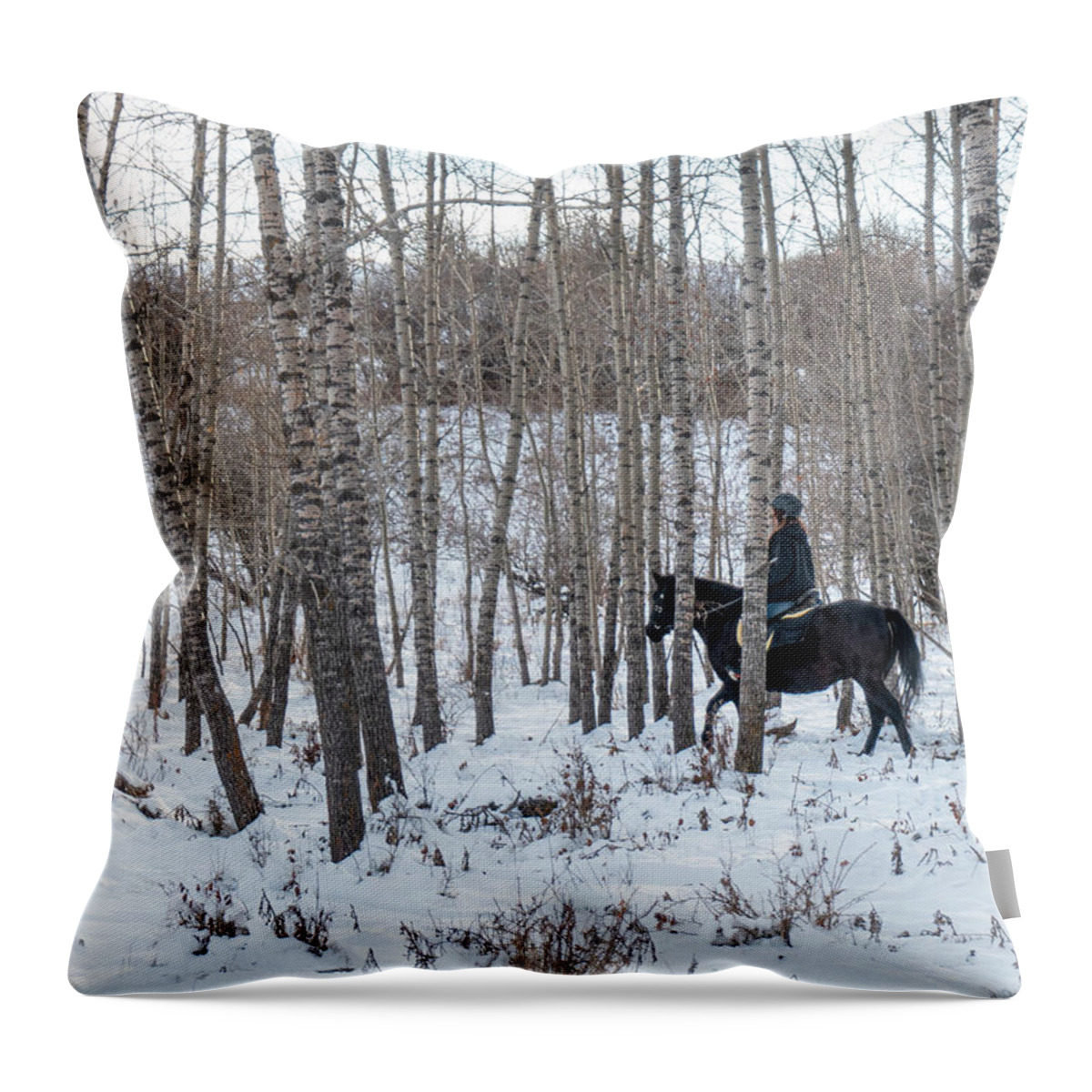 Horse Throw Pillow featuring the photograph Black Horse In Winter Woods by Phil And Karen Rispin