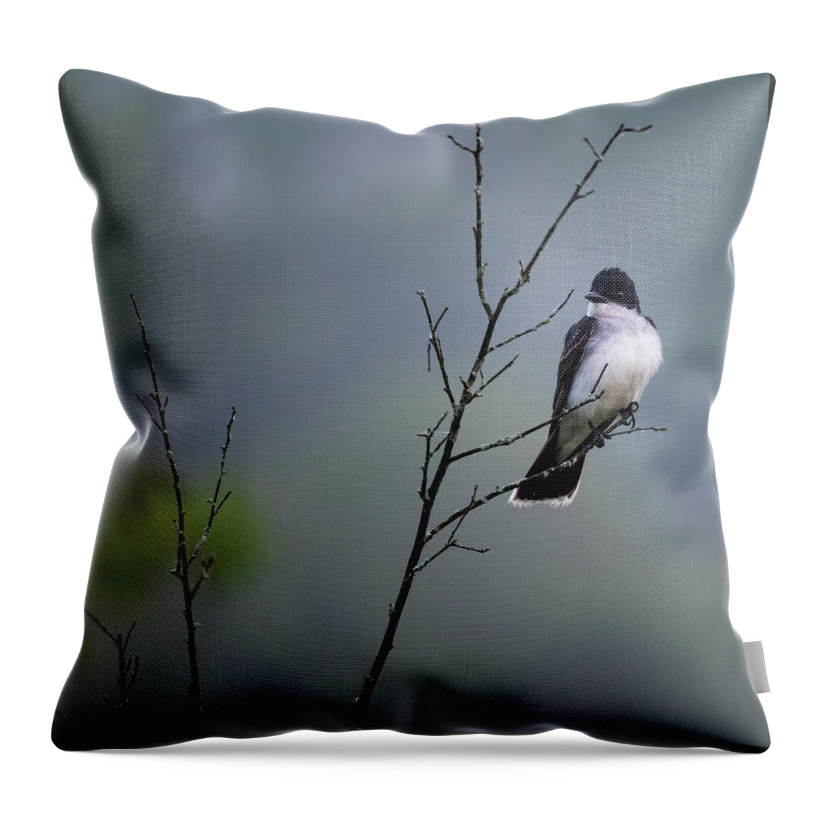 Eastern Kingbird Throw Pillow featuring the photograph Eastern Kingbird by Mark Papke
