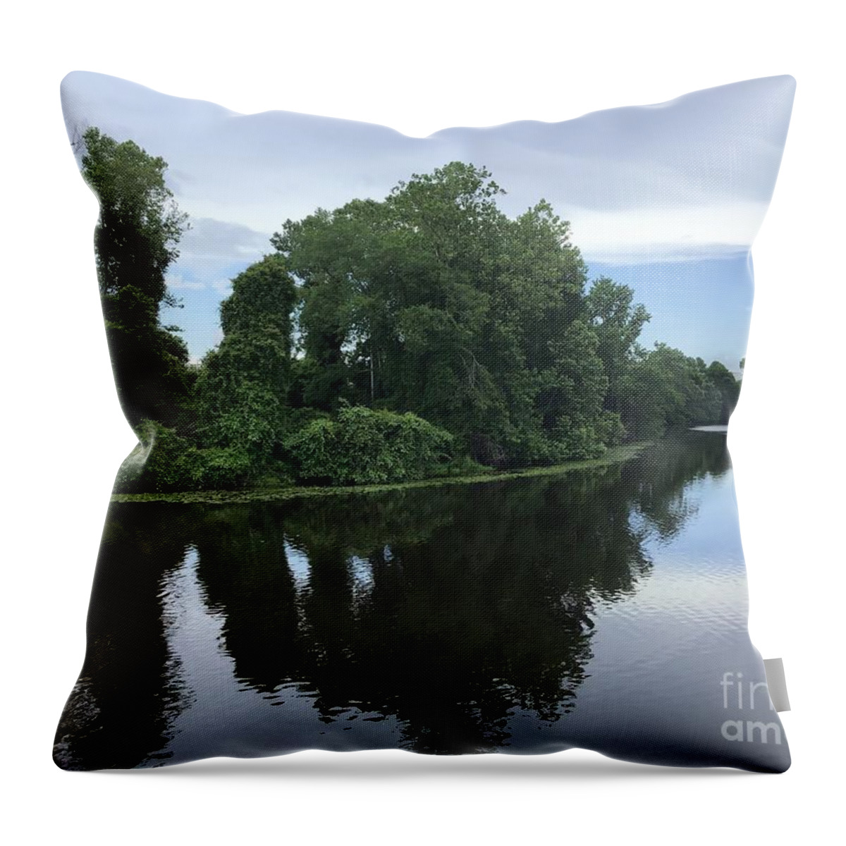 Blackwater Throw Pillow featuring the photograph Blackwater River Tree Show by Catherine Wilson