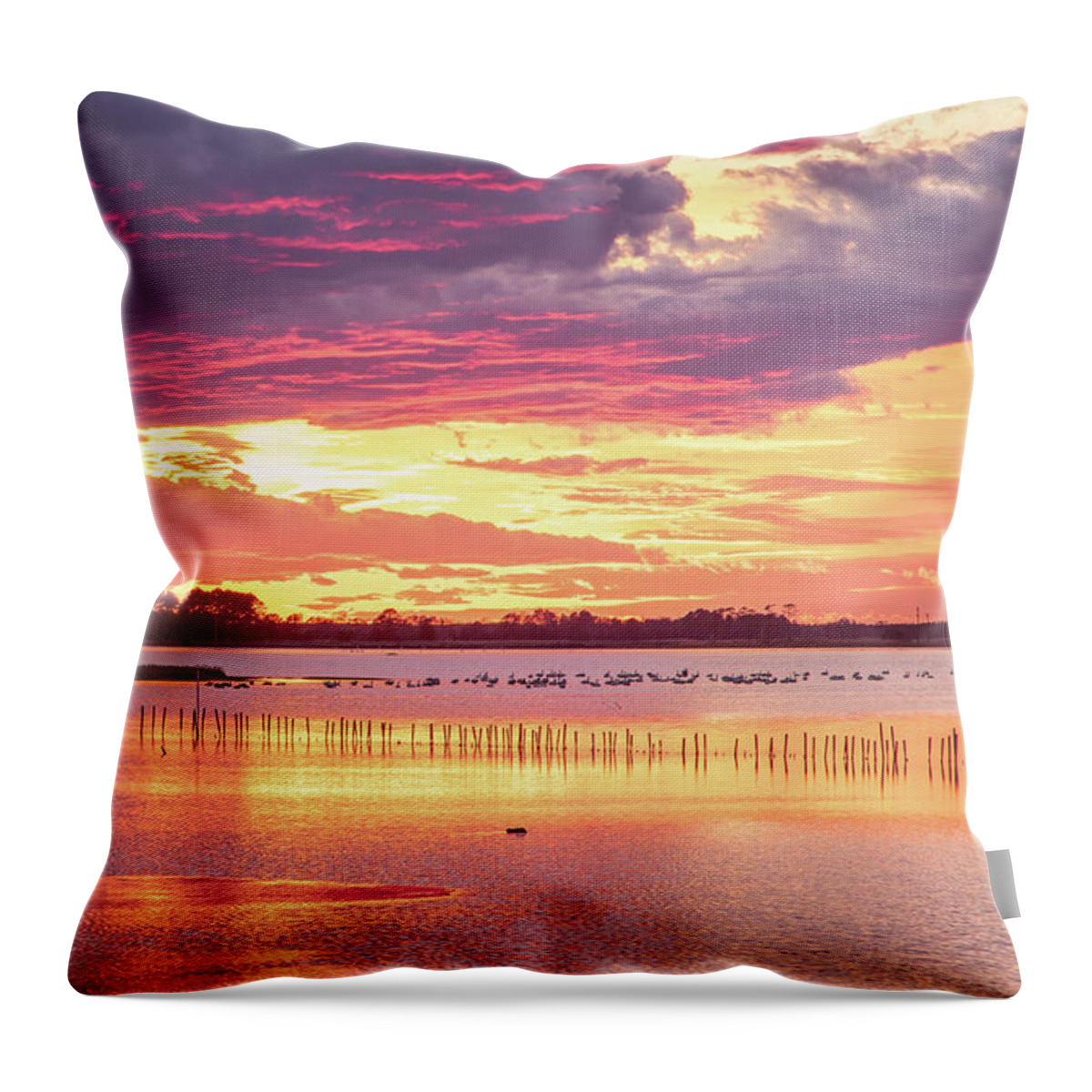 Blackwater Wildlife Refuge Throw Pillow featuring the photograph Blackwater Sky Fire by C Renee Martin