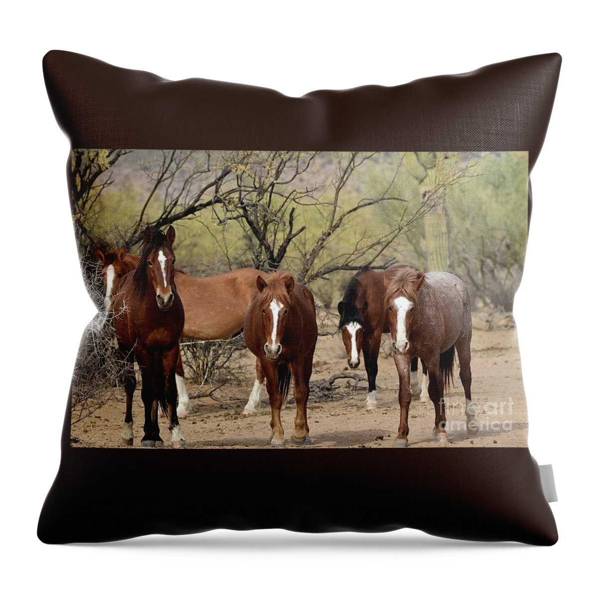 Salt River Wild Horse Throw Pillow featuring the digital art Blazes of Glory by Tammy Keyes