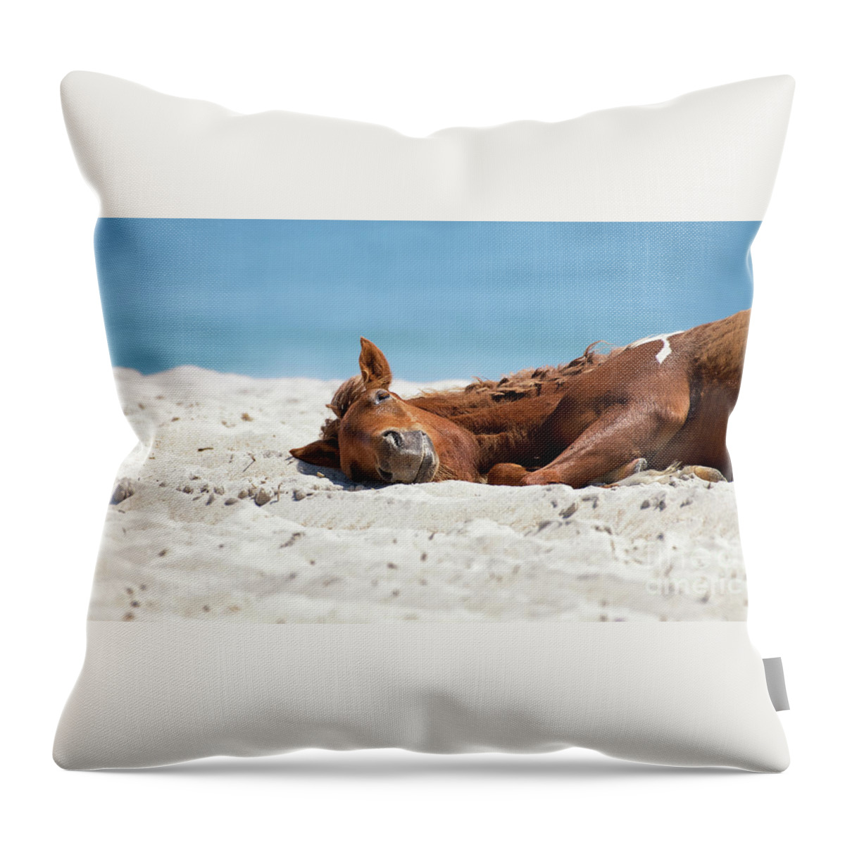 New Year Resolutions Throw Pillow featuring the photograph Bliss - Catching some sun by Rehna George
