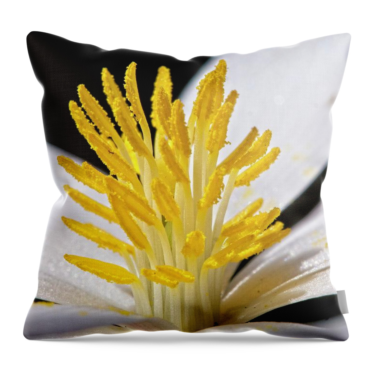 Flowers Throw Pillow featuring the photograph Bloodroot 9 by Steven Ralser