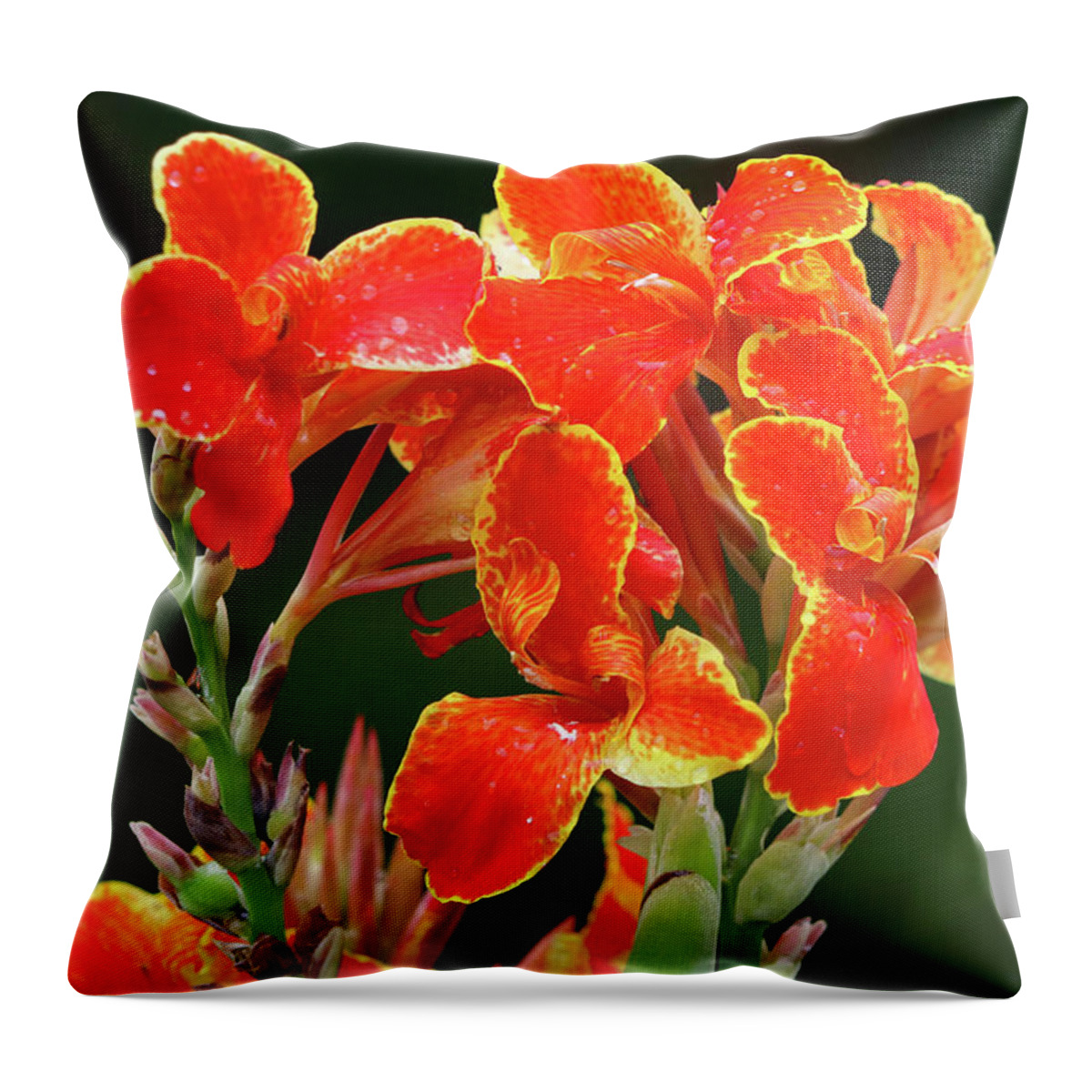 Flower Throw Pillow featuring the photograph Blooming Brightly by Mary Anne Delgado