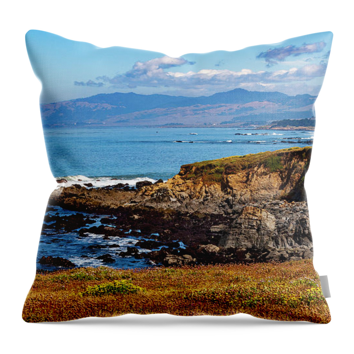 California Throw Pillow featuring the photograph Blooming Cliffs by Dan Carmichael