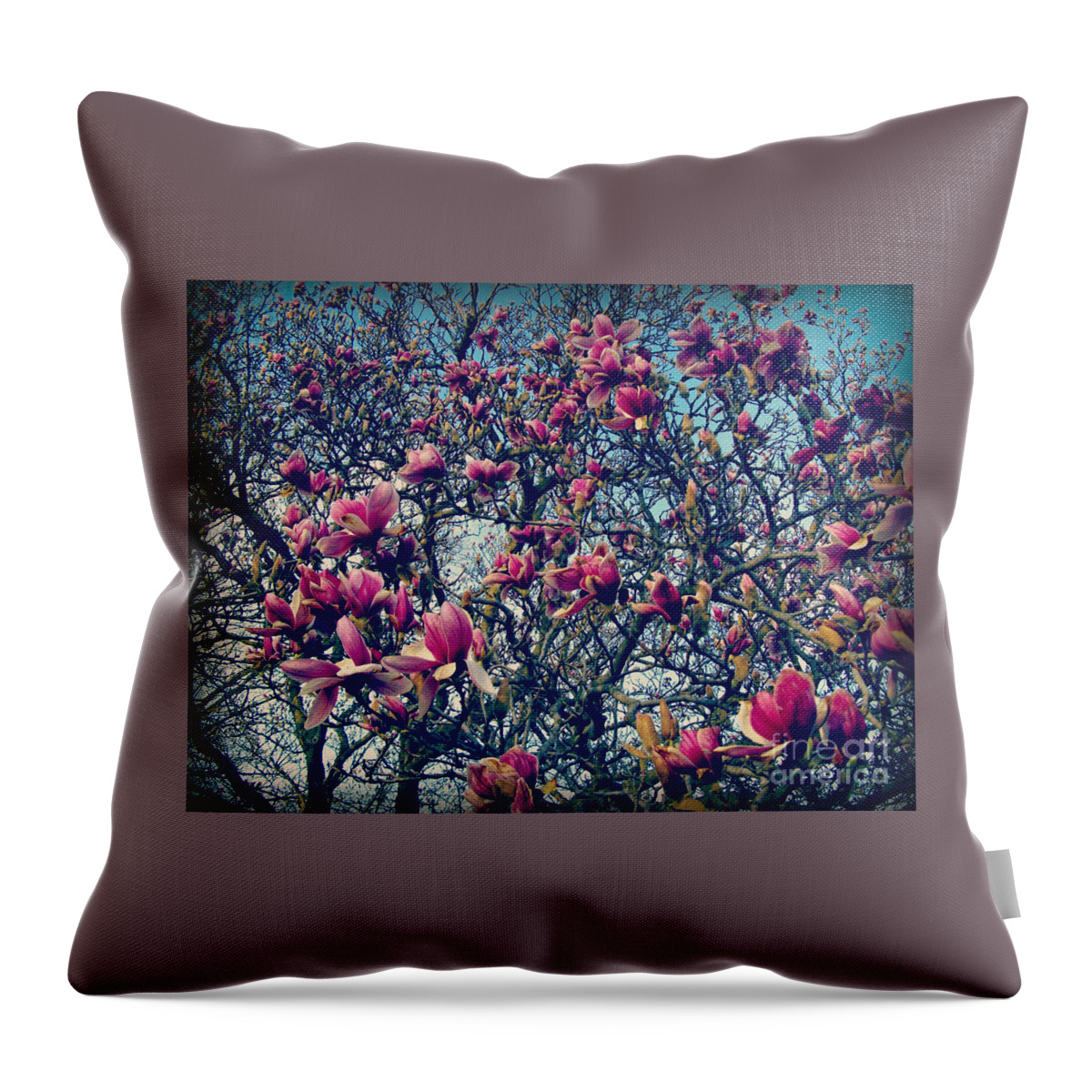 Nature Throw Pillow featuring the photograph Blooming Magnolias by Frank J Casella