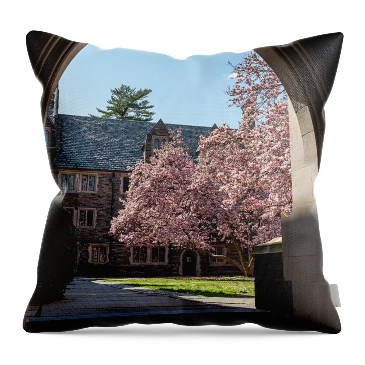 Cherry Blossoms Throw Pillow featuring the photograph Blooms Through the Arch by Kristopher Schoenleber