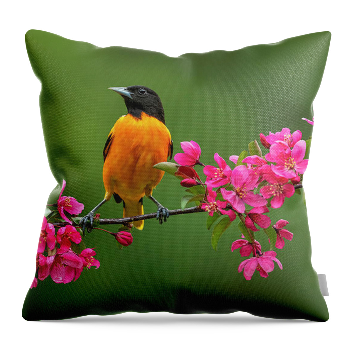 Bird Throw Pillow featuring the photograph Blossom Bird by Peg Runyan