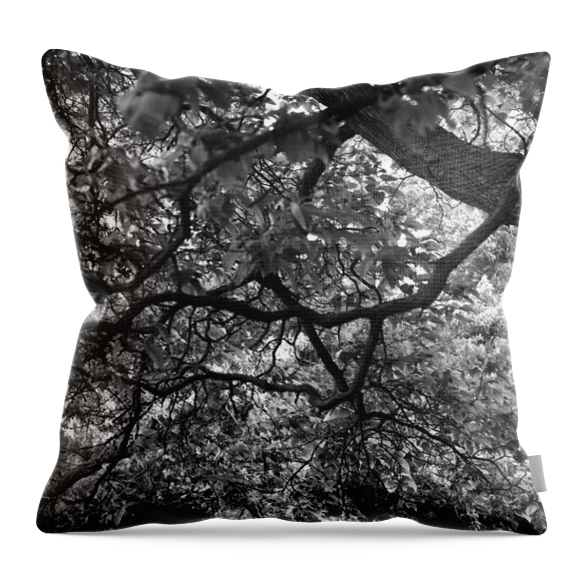 Tree Arboles Throw Pillow featuring the photograph Blowing in the Wind by Tony Lee
