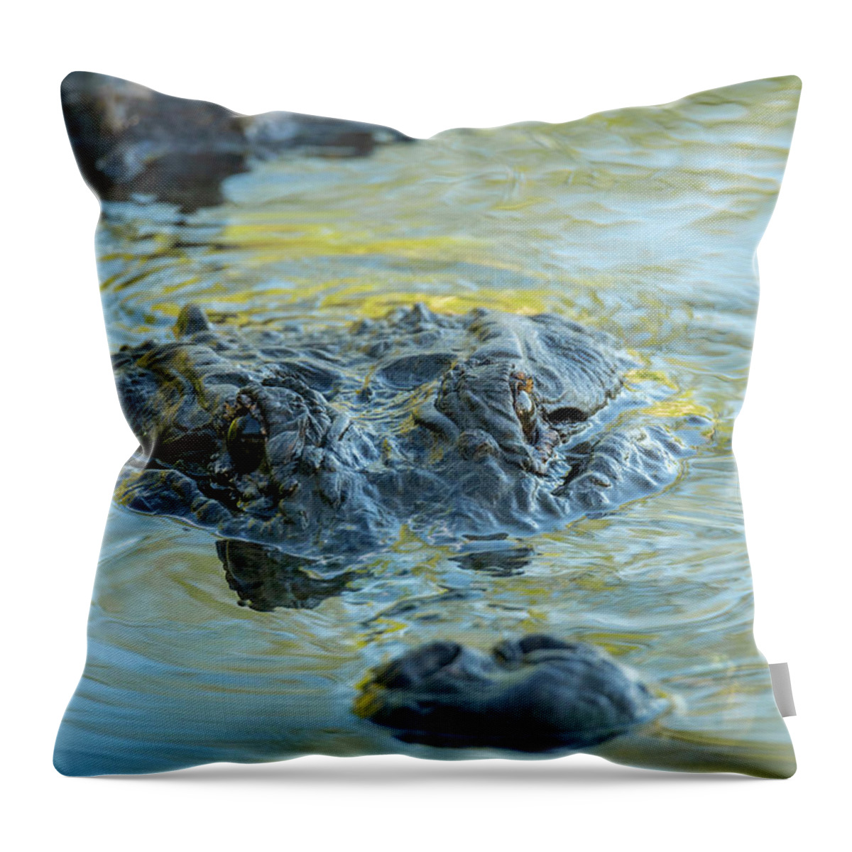 Alligator Throw Pillow featuring the photograph Blue and Gold Alligator by Carolyn Hutchins