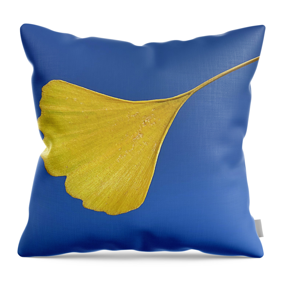 Blue Sky Throw Pillow featuring the photograph Blue and Gold by Jill Love