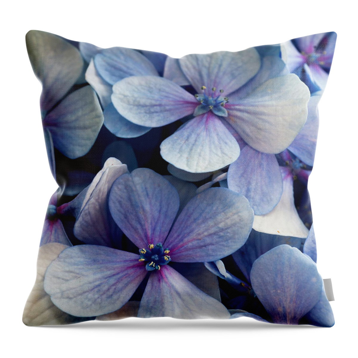 Background Throw Pillow featuring the photograph Blue and purple hydrangea flowers by Jean-Luc Farges