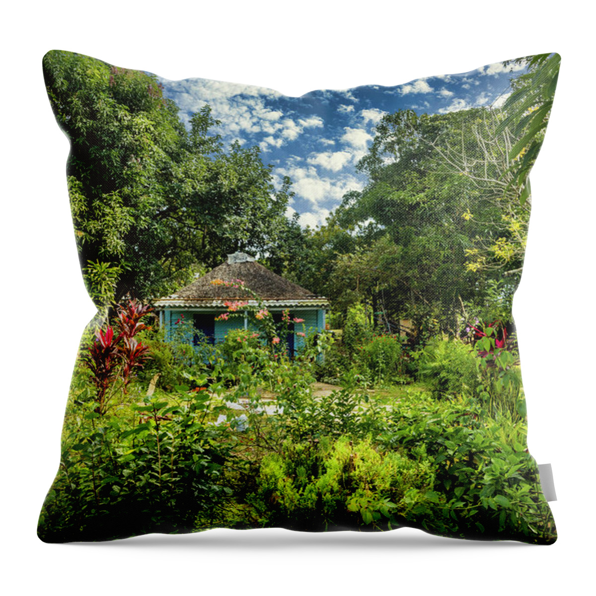 Small House Throw Pillow featuring the photograph Blue Cabin 2 by Micah Offman