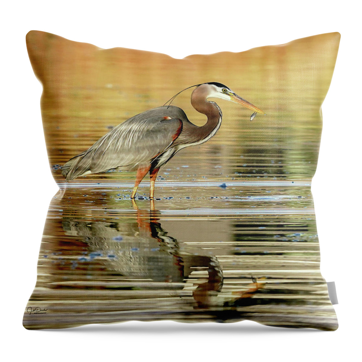 Great Blue Herons Throw Pillow featuring the photograph Blue Heron Fishing by Judi Dressler