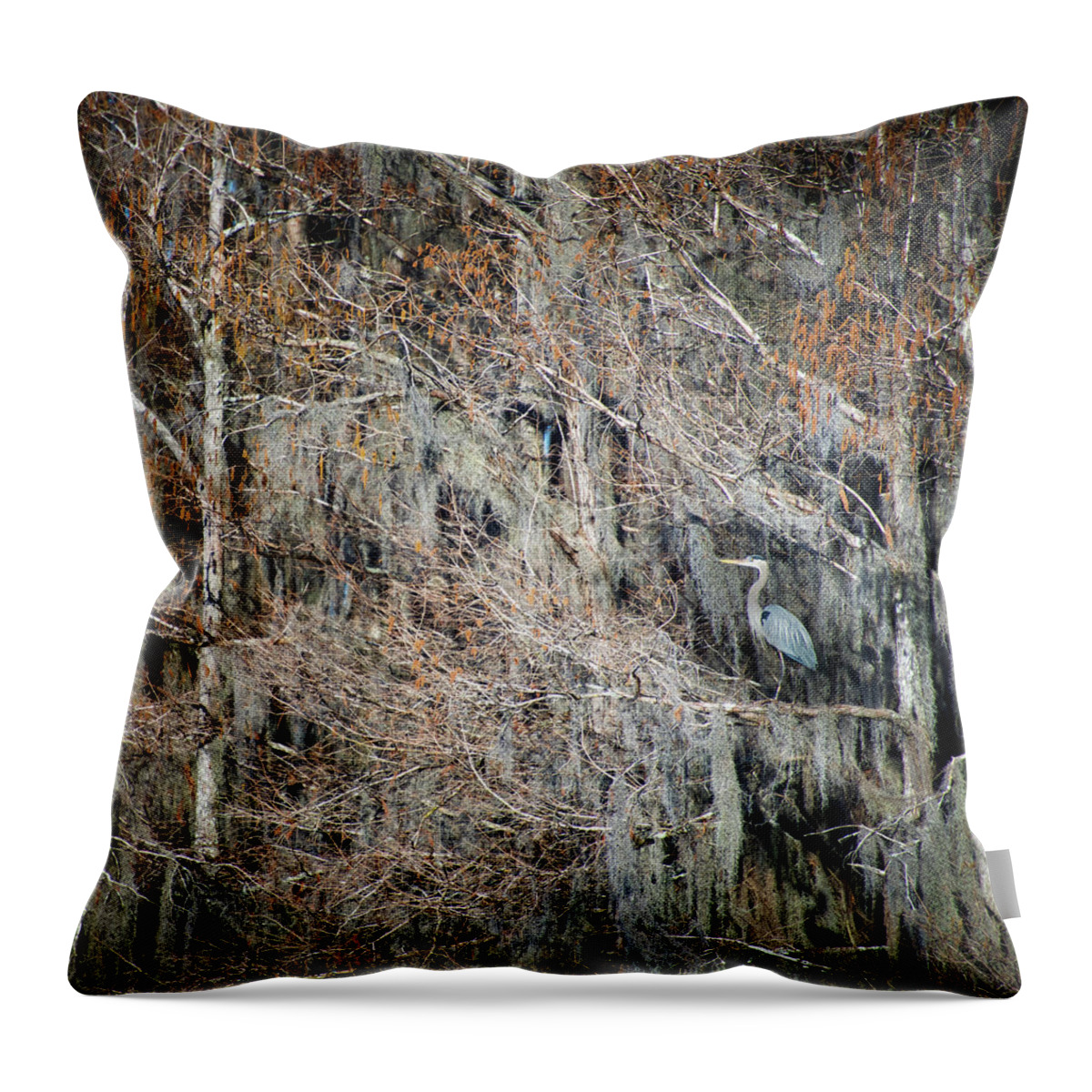 Heron Throw Pillow featuring the photograph Blue Heron in Cypress by Mary Lee Dereske