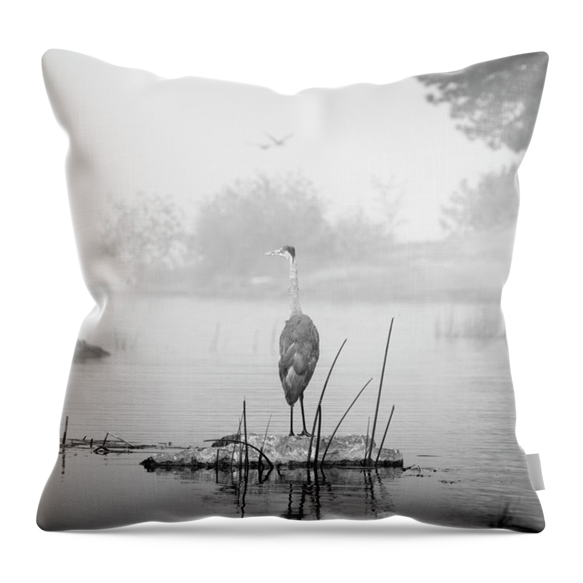 San Diego Throw Pillow featuring the photograph Blue Heron in Lake Cuyamaca by William Dunigan