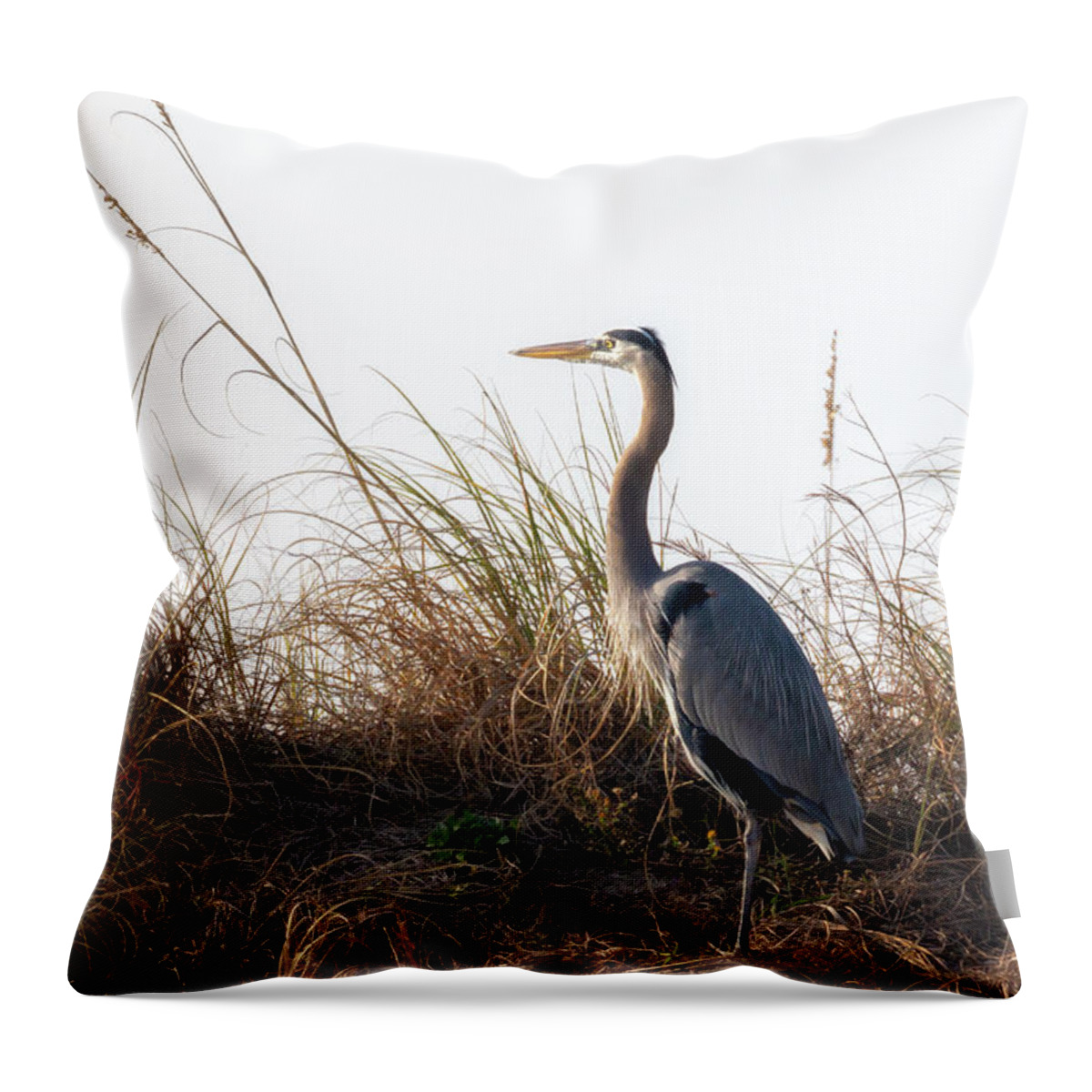 Blue Heron Throw Pillow featuring the photograph Blue Heron on the Dunes by Susan Rissi Tregoning