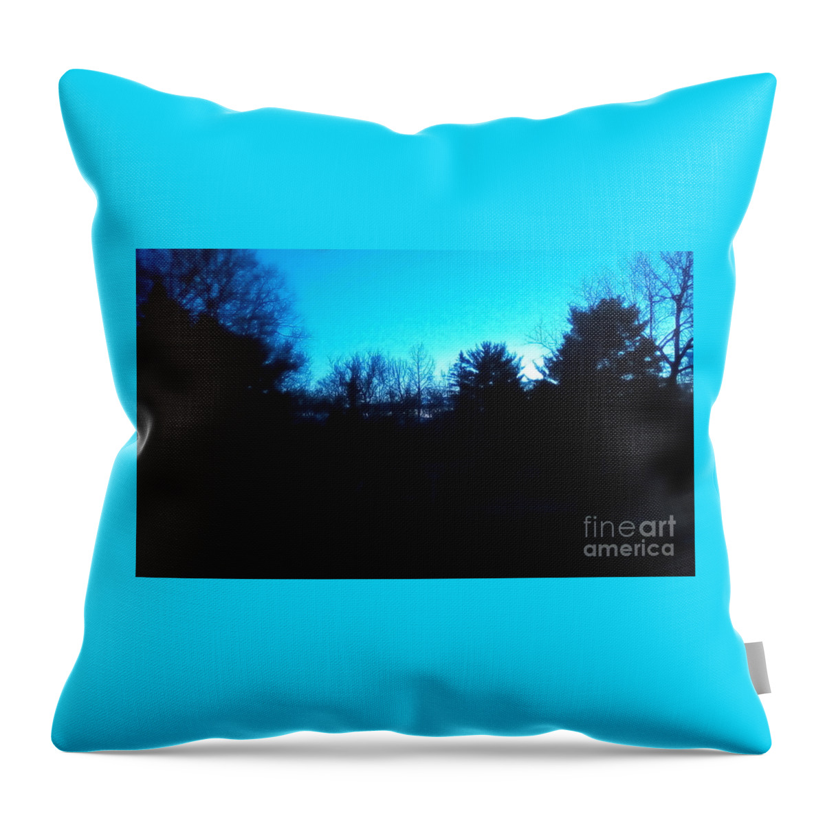 Landscape Throw Pillow featuring the photograph Blue Hour Silhouette by Frank J Casella