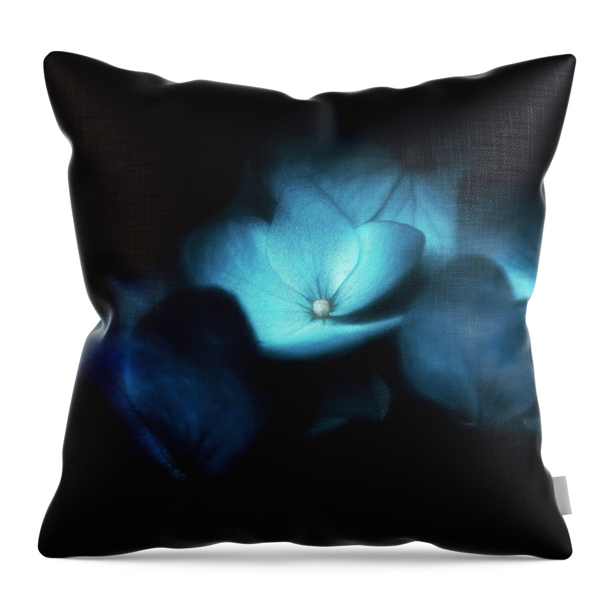 Hydrangeas Throw Pillow featuring the photograph Blue hydrangeas by Philippe Sainte-Laudy
