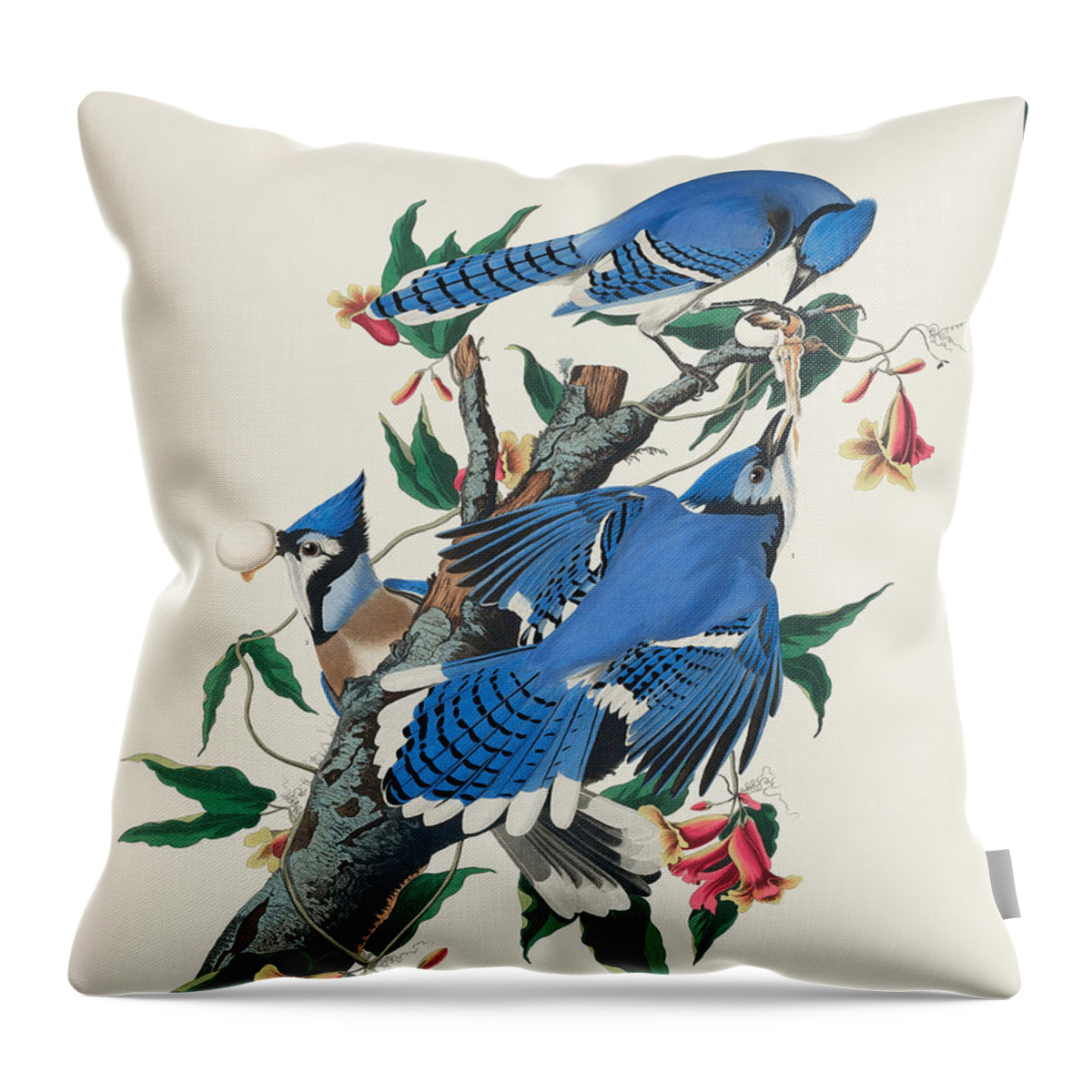 Blue Jay Throw Pillow featuring the mixed media Blue Jay. John James Audubon by World Art Collective