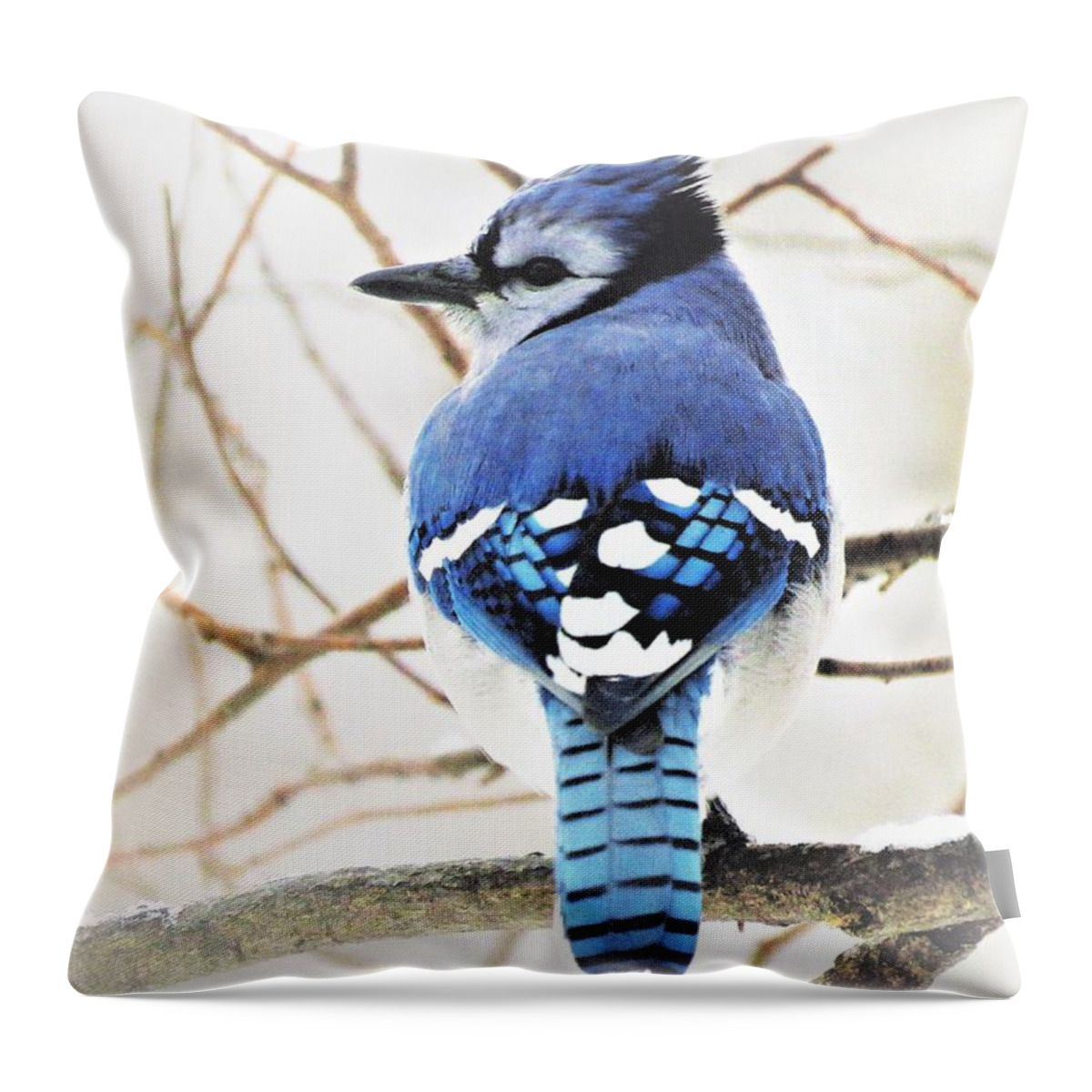 Birds Throw Pillow featuring the photograph Blue Jay Morning by Lori Frisch