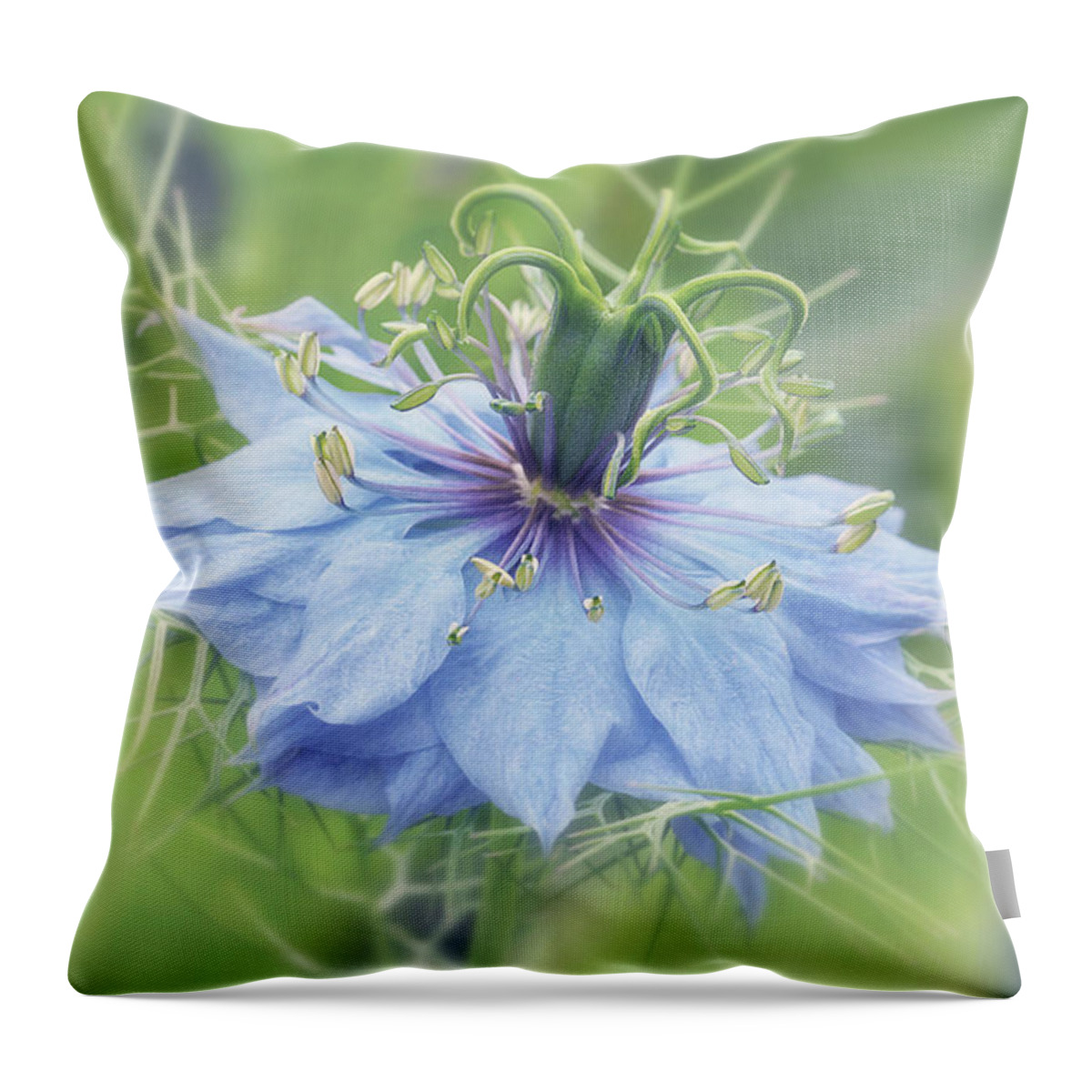 Blue Flower Throw Pillow featuring the photograph Blue Love in a Mist by Maria Meester